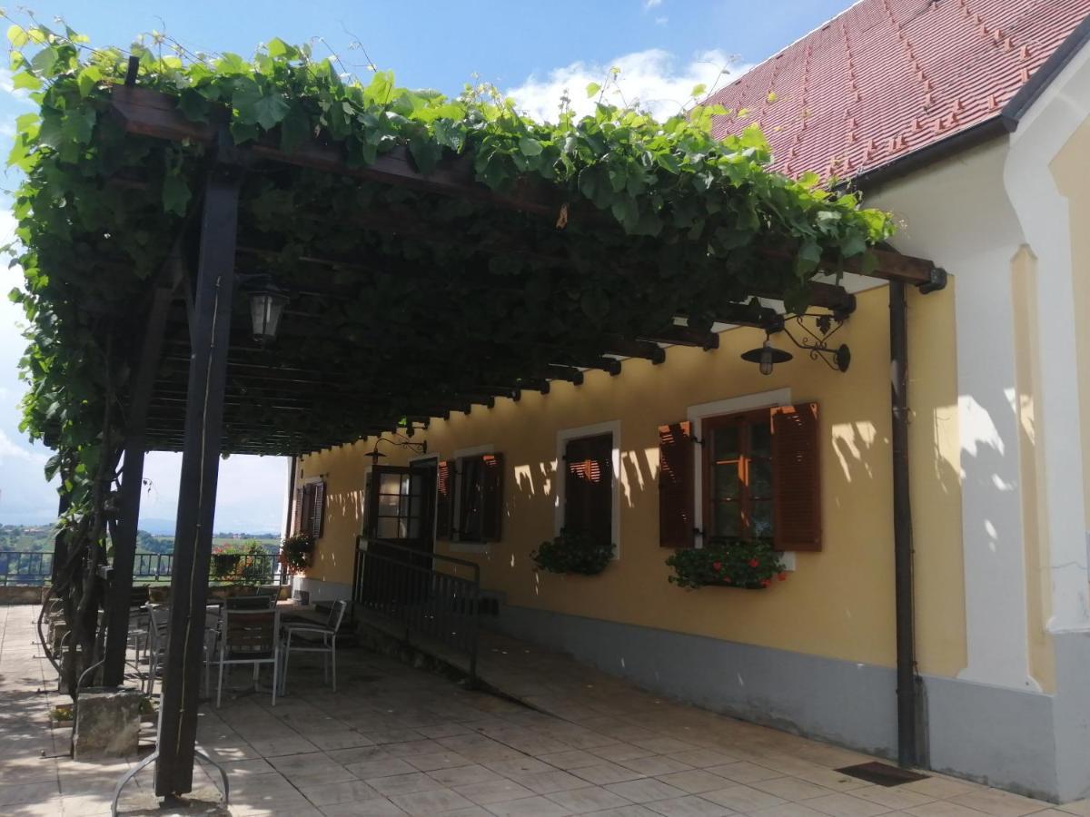 Ferienwohnung Apartmaji Svetinje Ivanjkovci Exterior foto