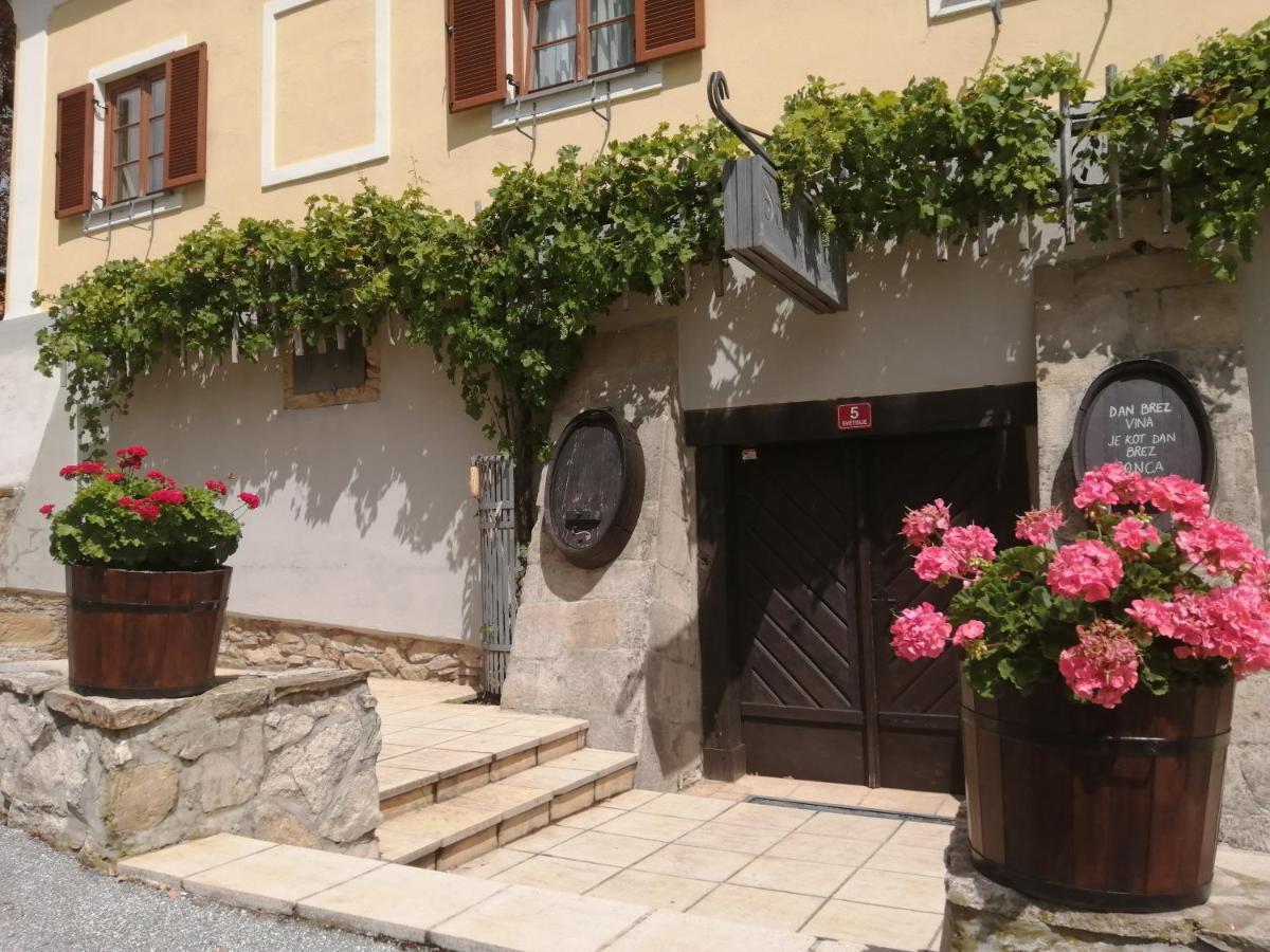 Ferienwohnung Apartmaji Svetinje Ivanjkovci Exterior foto