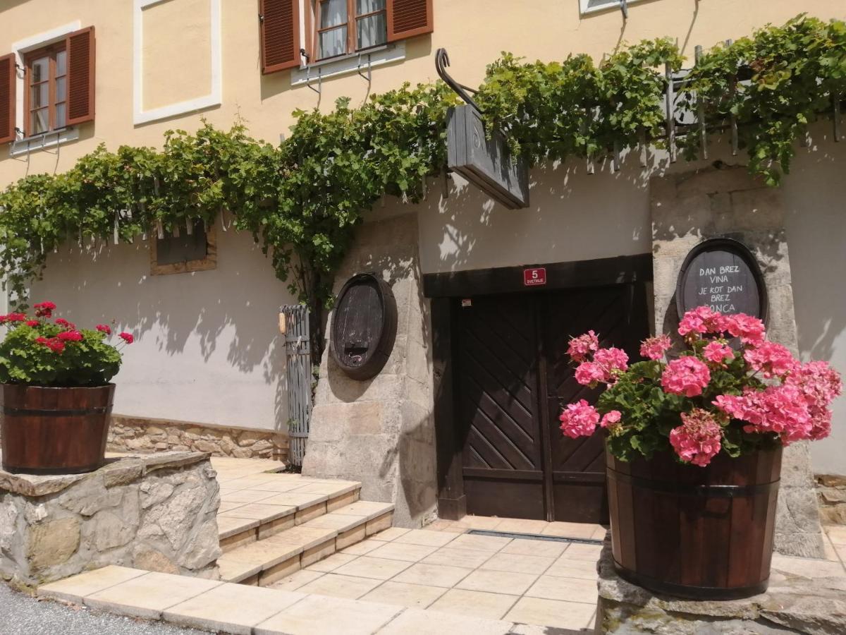 Ferienwohnung Apartmaji Svetinje Ivanjkovci Exterior foto