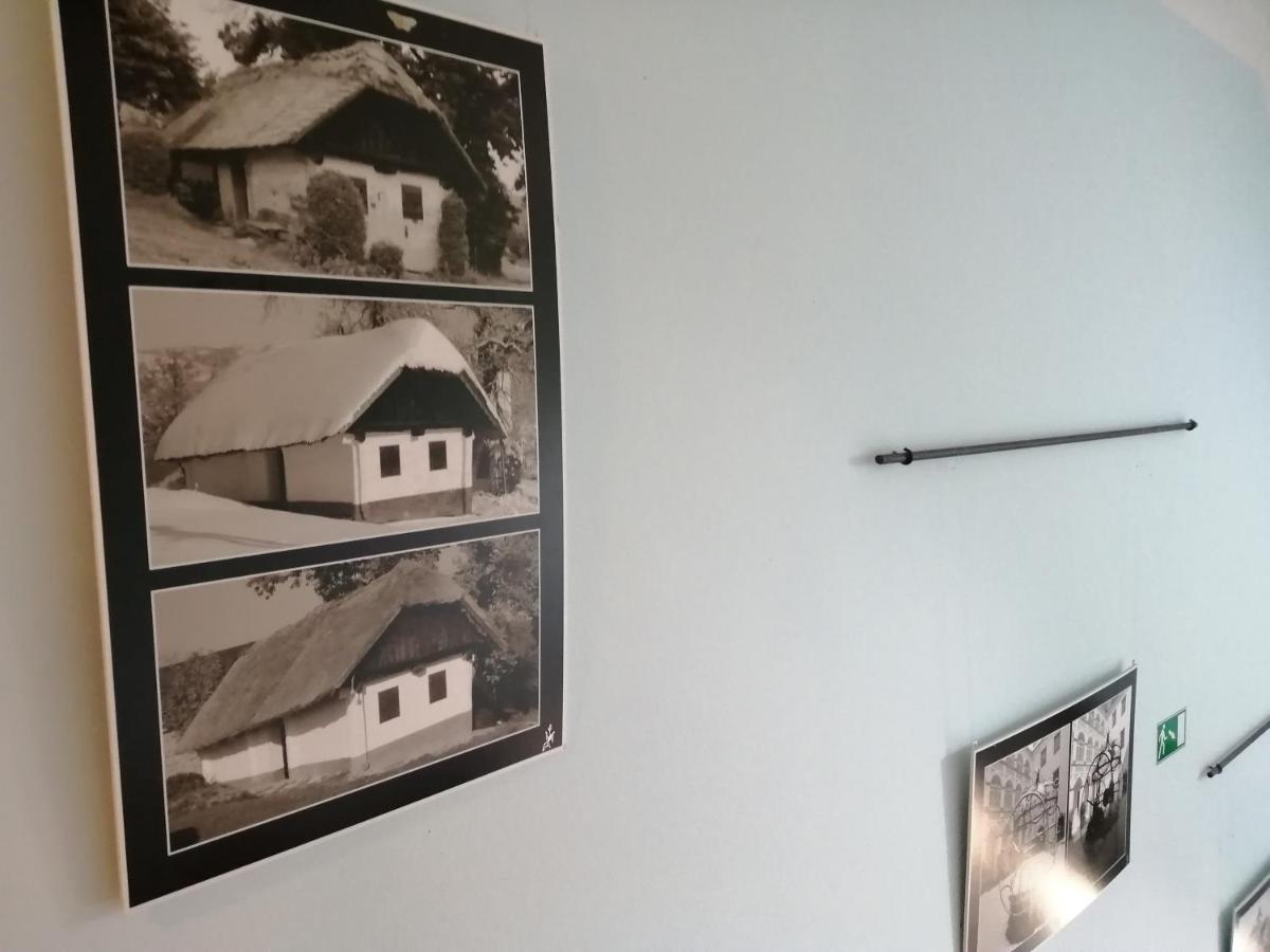 Ferienwohnung Apartmaji Svetinje Ivanjkovci Exterior foto